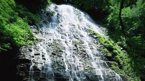 智能先进